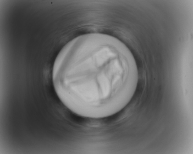 X0000088740127200706282152