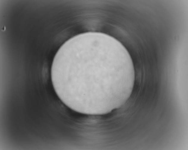 X0000088740128200706282152