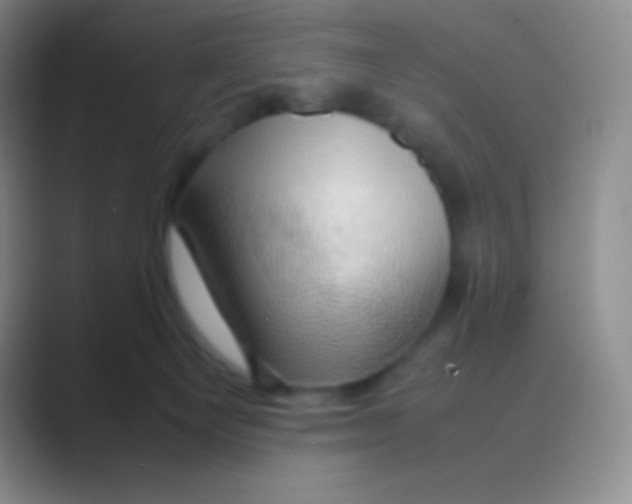 X0000088740129200706282152