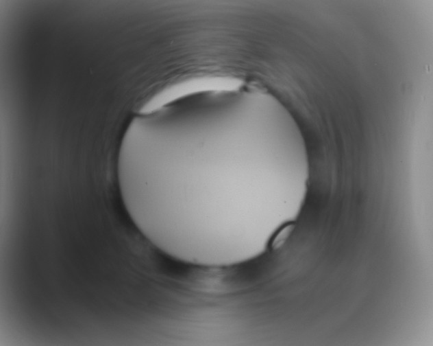 X0000088740131200706282152