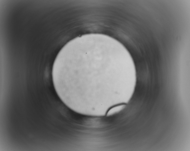 X0000088740132200706282152