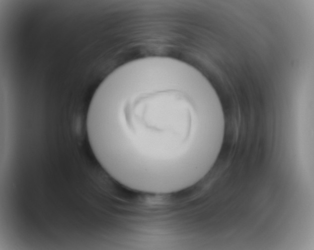 X0000088740134200706282152