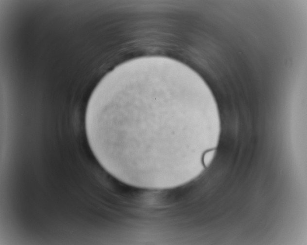 X0000088740136200706282152