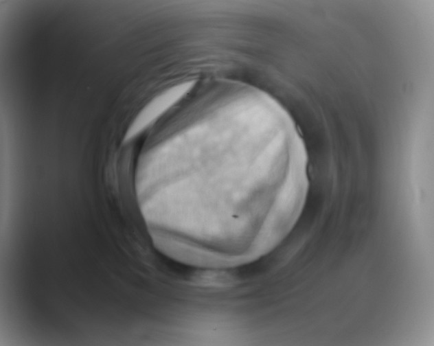 X0000088740137200706282152