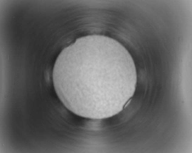 X0000088740138200706282152