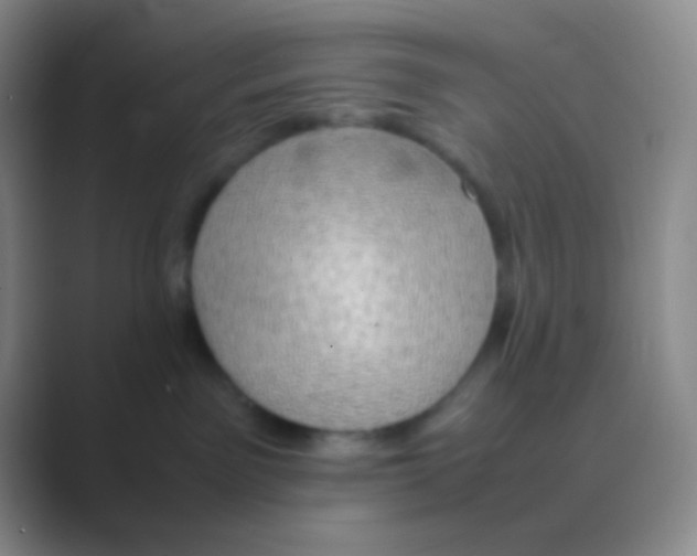 X0000088740141200706282152