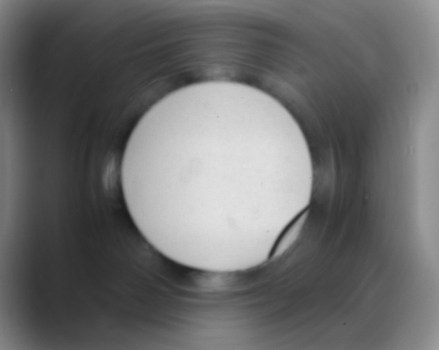 X0000088740142200706282152