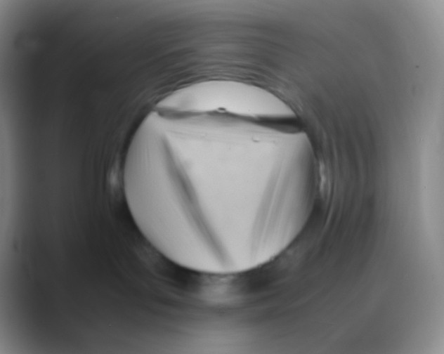X0000088740143200706282152