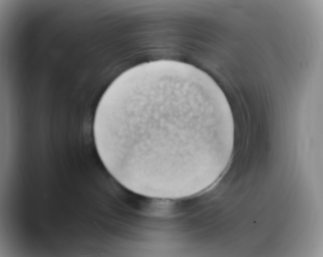 X0000088740144200706282152