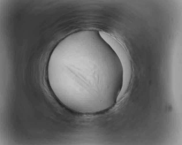 X0000088740145200706282151