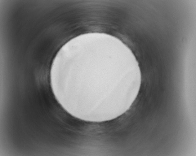 X0000088740146200706282151