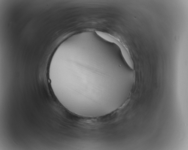 X0000088740147200706282151