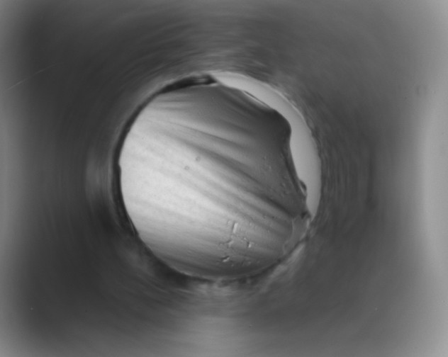 X0000088740148200706282151