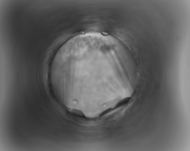 X0000088740149200706282151