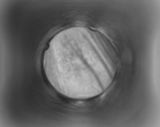 X0000088740151200706282151