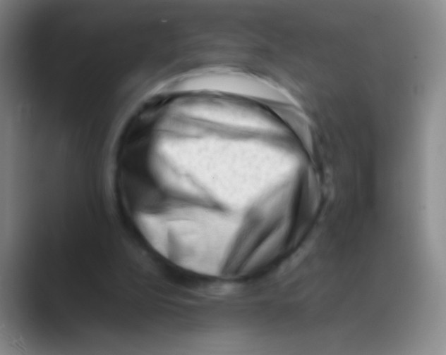 X0000088740152200706282151