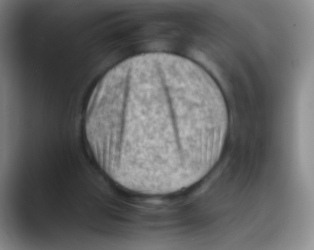 X0000088740153200706282151