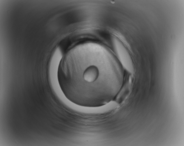 X0000088740154200706282151
