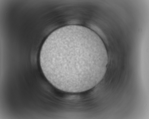 X0000088740155200706282151