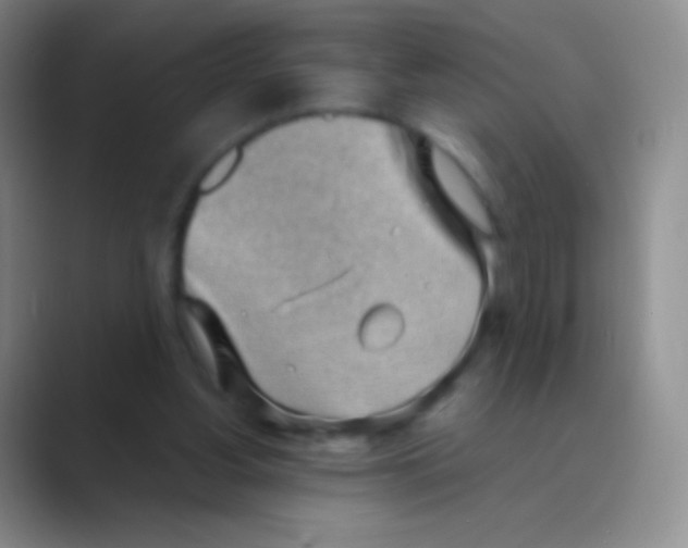 X0000088740156200706282151