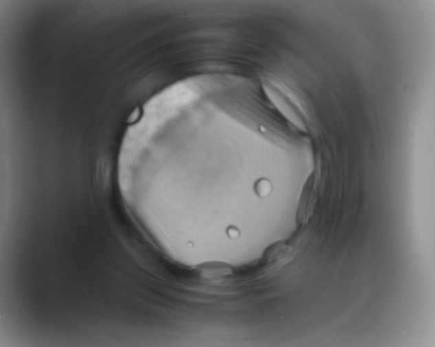 X0000088740157200706282151