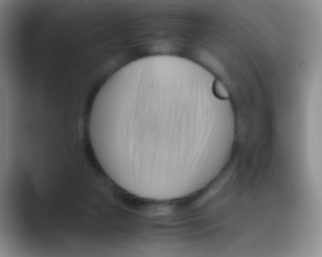 X0000088740161200706282151