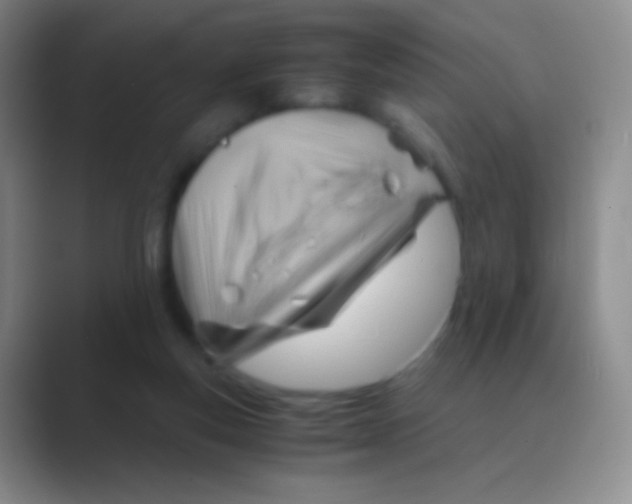 X0000088740163200706282151