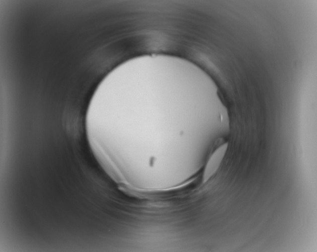 X0000088740164200706282151
