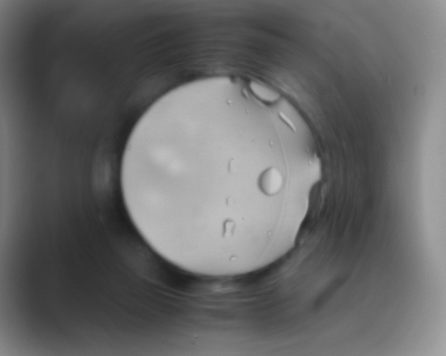 X0000088740165200706282151
