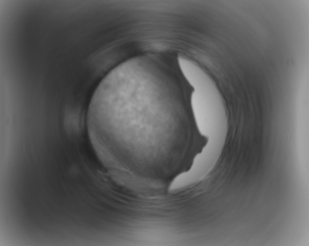 X0000088740168200706282151