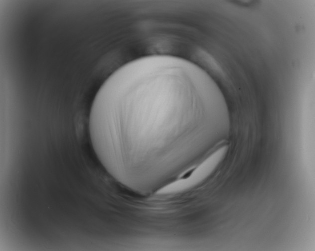 X0000088740169200706282151