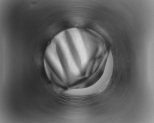 X0000088740170200706282151