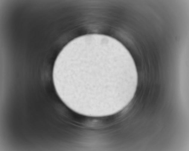 X0000088740174200706282152