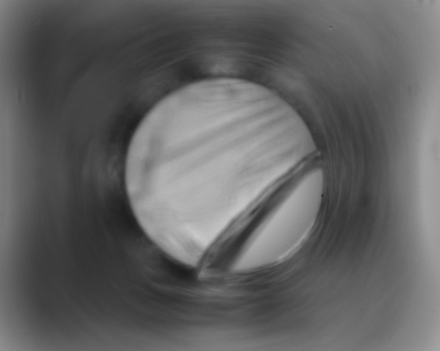 X0000088740175200706282152