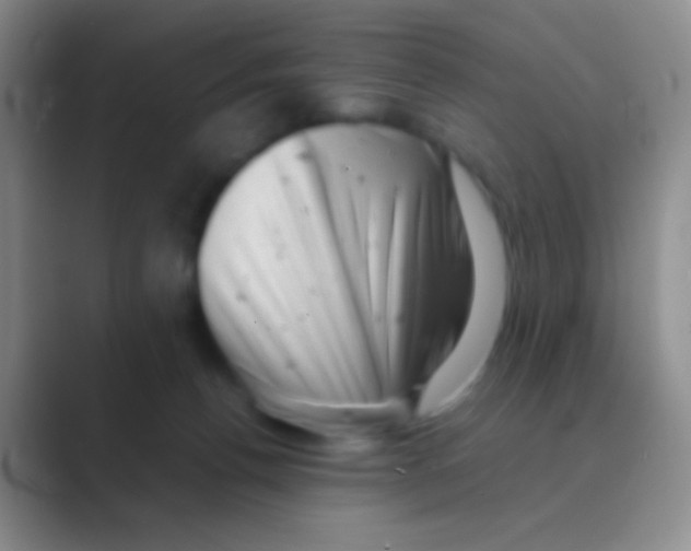 X0000088740176200706282152