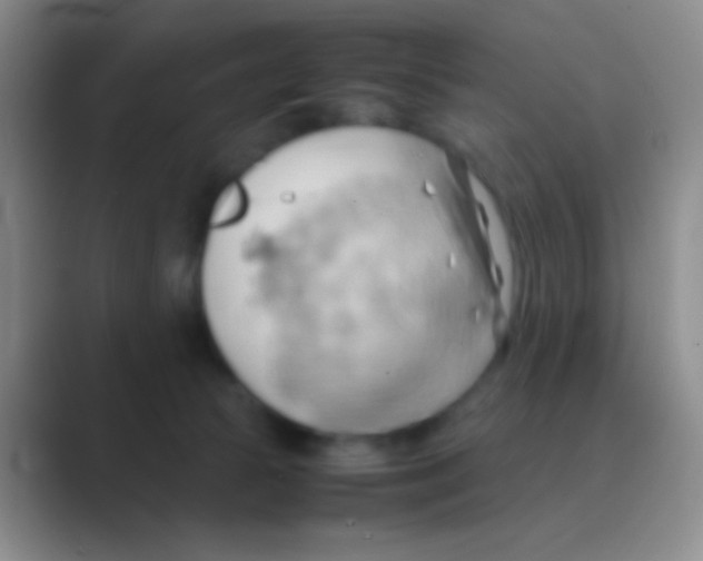 X0000088740177200706282152