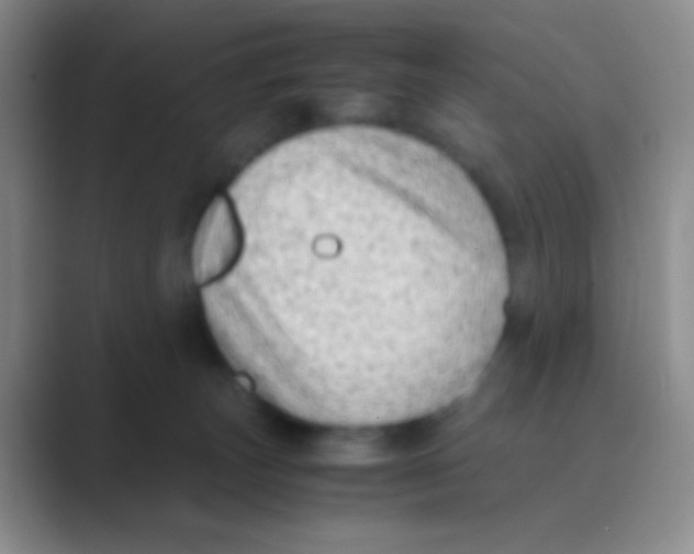 X0000088740179200706282152