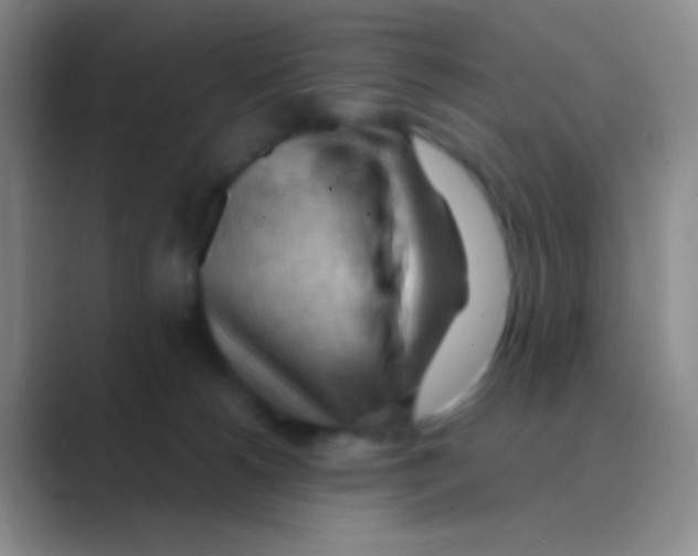 X0000088740180200706282152