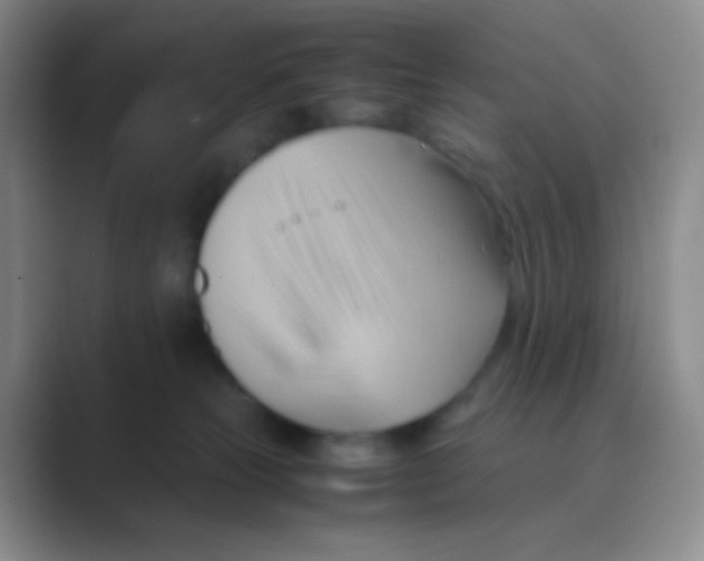 X0000088740181200706282152
