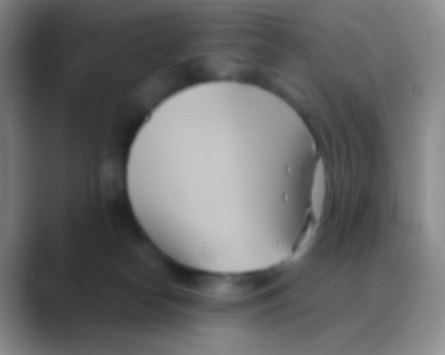 X0000088740182200706282152