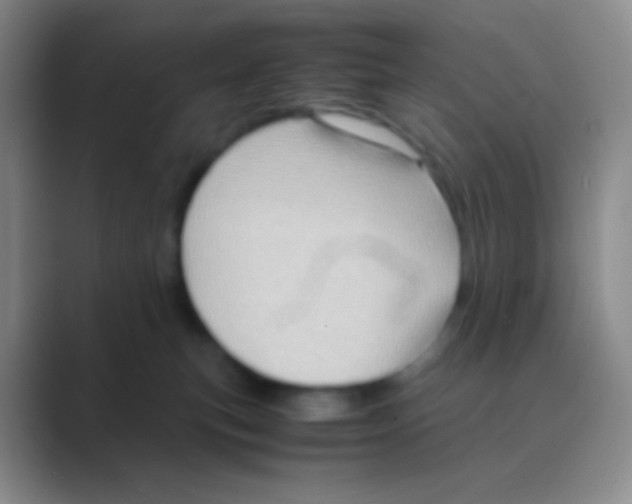 X0000088740183200706282152