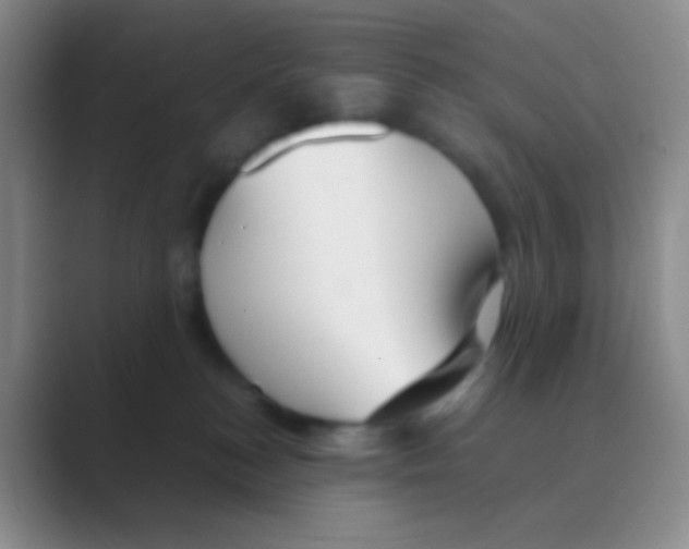 X0000088740184200706282152