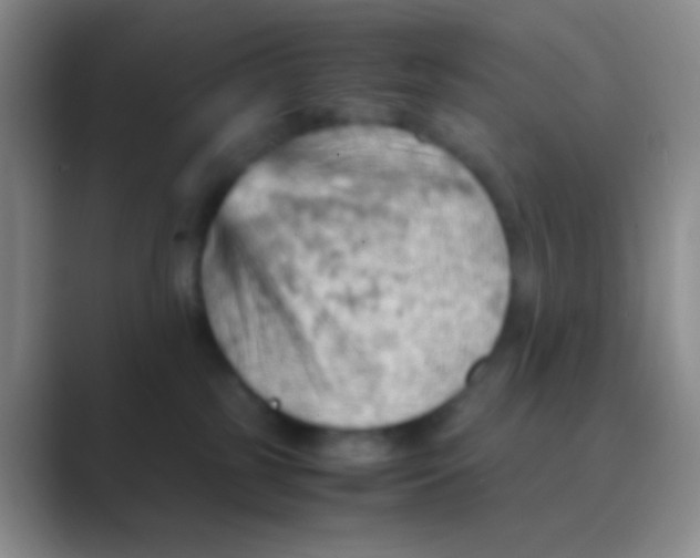 X0000088740185200706282152