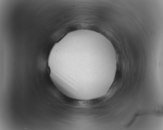 X0000088740188200706282152