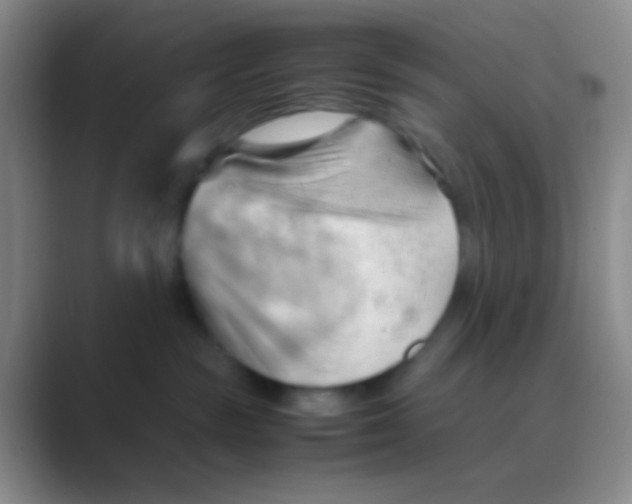 X0000088740189200706282152