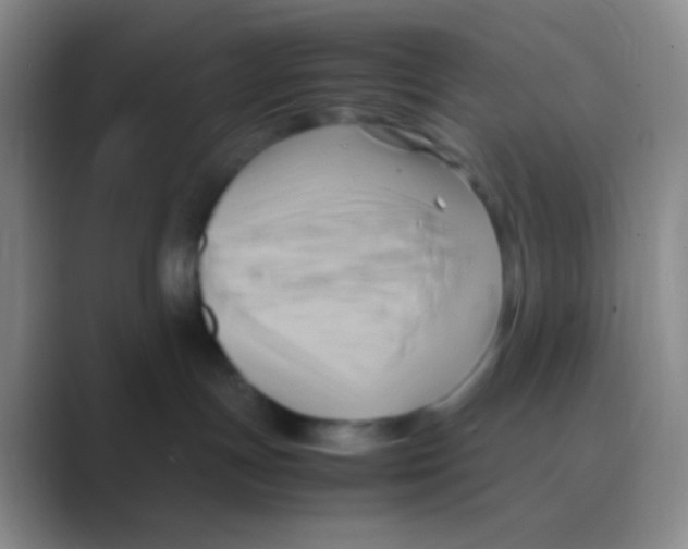 X0000088740191200706282152
