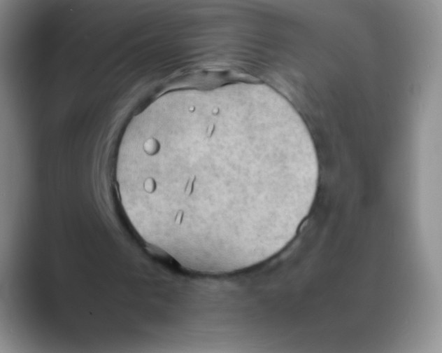 X0000088740193200706282151