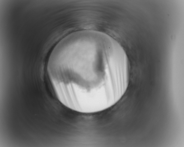 X0000088740194200706282151