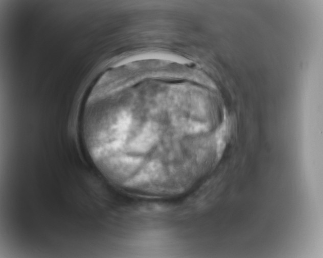 X0000088740195200706282151