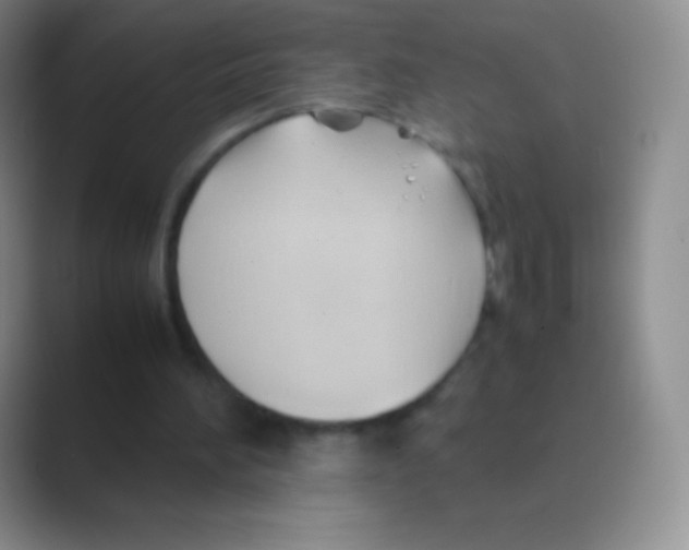 X0000088740196200706282151